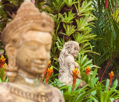 gemi aslanı kadınlar odak