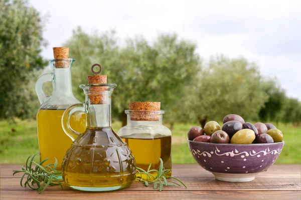 Aceite de oliva y bayas —  Fotos de Stock