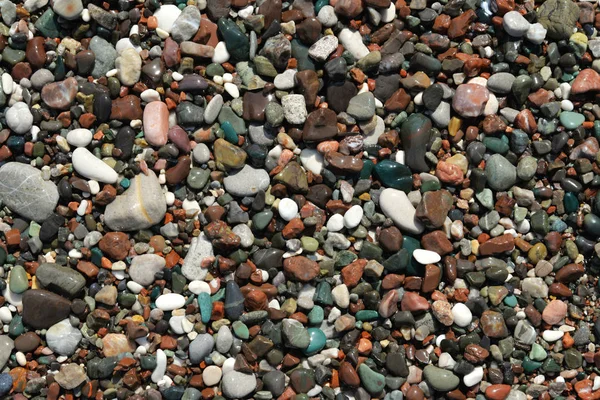 Färgglada våta havet stenar — Stockfoto