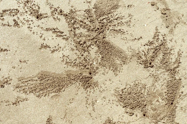 A homok háttér rákok burrows — Stock Fotó