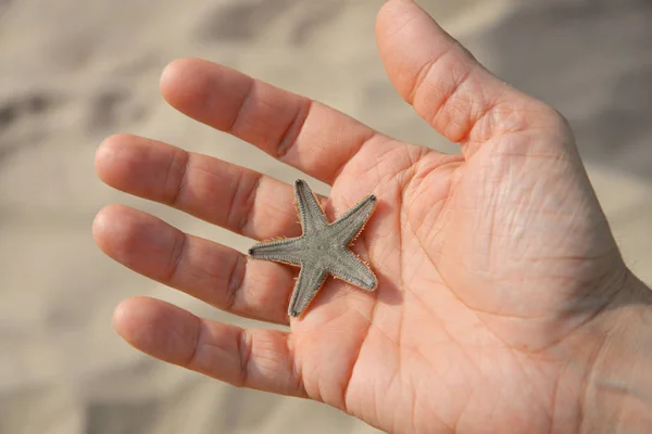 Man holding starfish — Stock Photo, Image