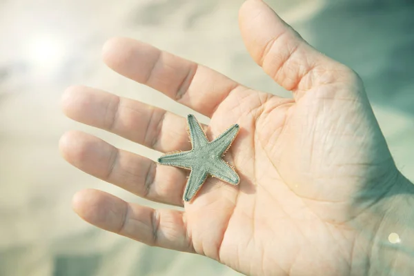 Man holding starfish — Stock Photo, Image