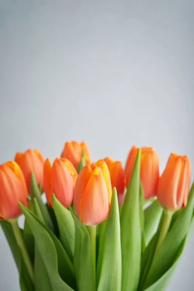 Strauß roter Tulpen — Stockfoto