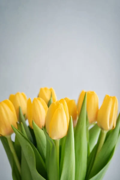 Bukett gula tulpaner — Stockfoto