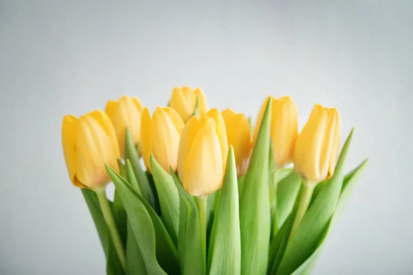 Buquê de tulipas amarelas — Fotografia de Stock