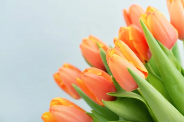 Ramo de tulipanes rojos — Foto de Stock