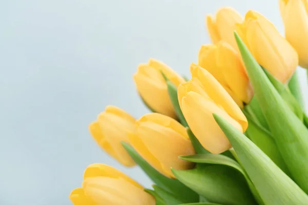 Bouquet of yellow tulips — Stock Photo, Image