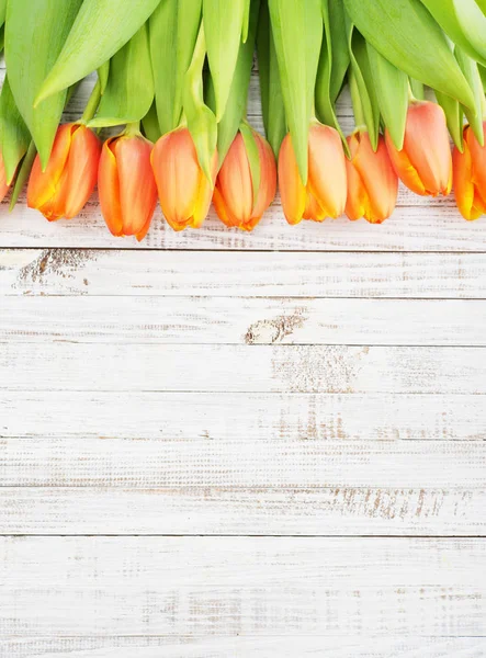 Tulipanes rojos sobre fondo de madera — Foto de Stock