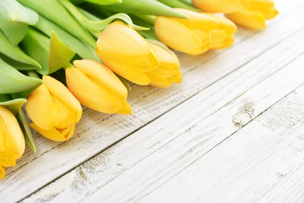 Tulipes jaunes sur blanc — Photo