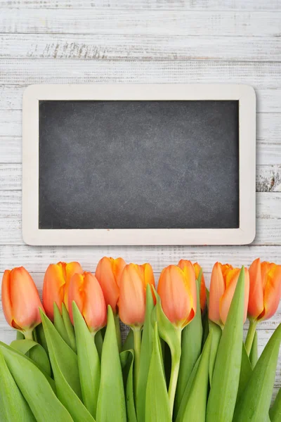 Červené tulipány s tabuli — Stock fotografie