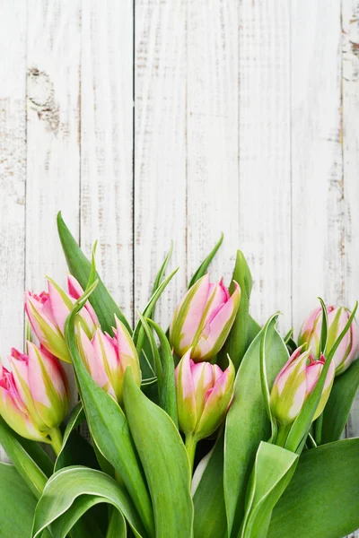 Kytice růžových tulipánů — Stock fotografie