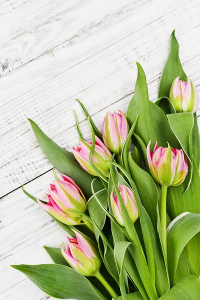 Kytice růžových tulipánů — Stock fotografie