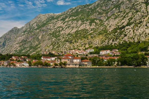 Widok na zatokę Kotor — Zdjęcie stockowe