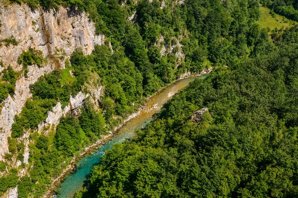 山の川のタラ — ストック写真