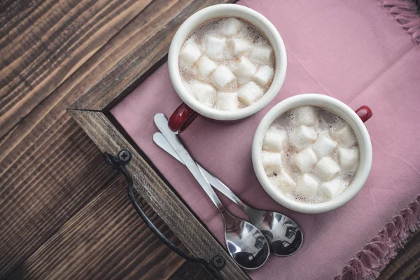 İki bardağı kakao marshmallows ile metal — Stok fotoğraf