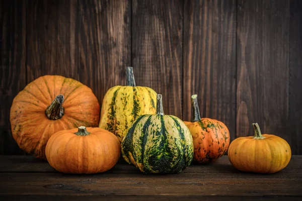 Pile de différentes citrouilles crues — Photo