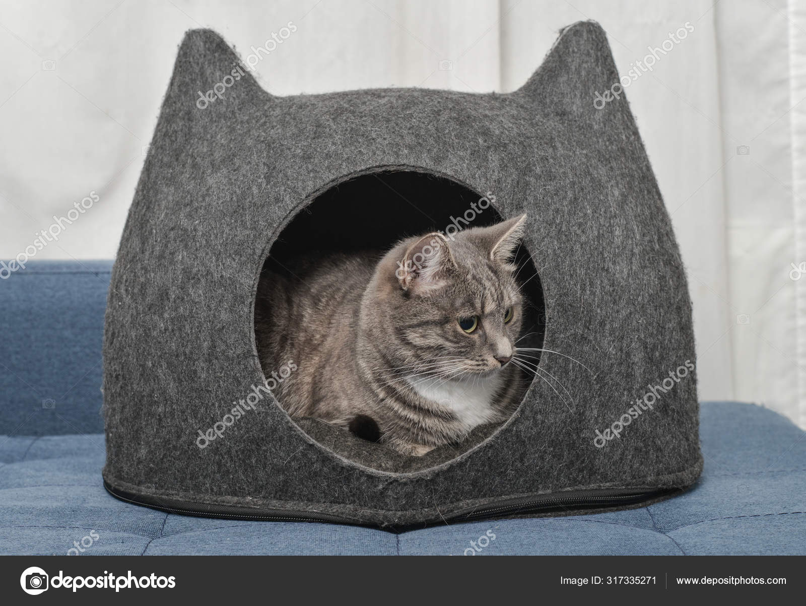 Cat Condo - Download