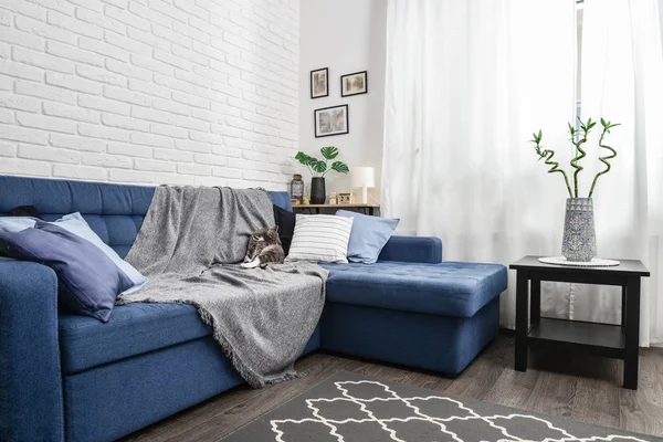 Bright living room in scandinavian style — Stock Photo, Image