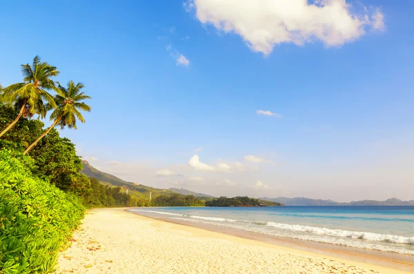 Playa en la isla de Mahe, Seychelles — Foto de Stock