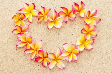 Kum, en iyi görünüm frangipani veya plumeria çiçek kalp yapılmış