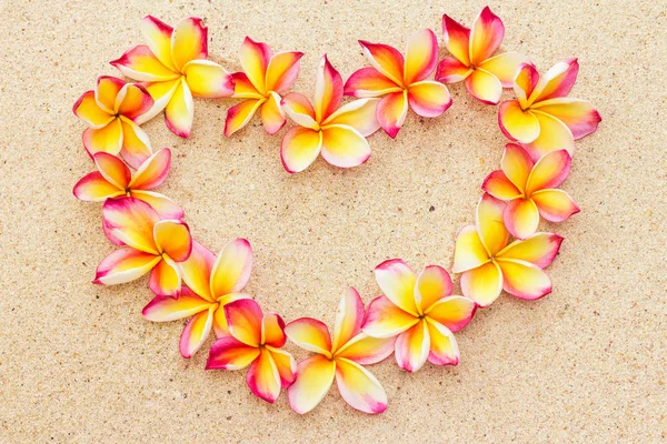 Heart made of frangipani or plumeria flowers on sand, top view — Stock Photo, Image