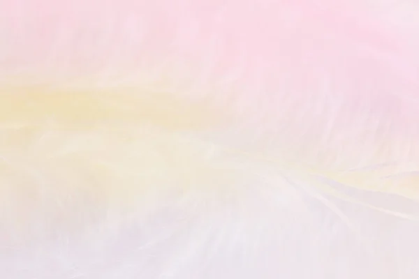 Фон крупным планом изображения розового, желтого и синего феа — стоковое фото