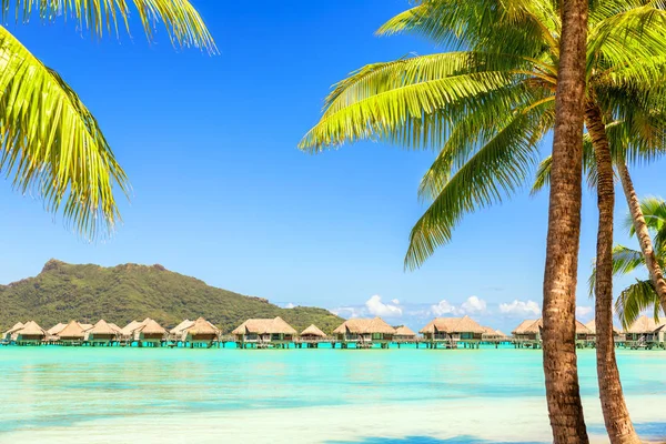 Vista de la montaña Otemanu con palmera y laguna impresionante , — Foto de Stock