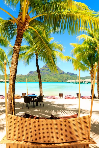 Palmiers et chaises confortables sur la plage tropicale de Bora Bora, Français — Photo