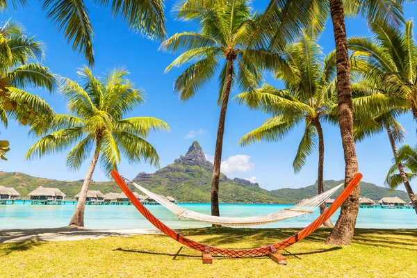 Leere Hängematte zwischen Palmen. Urlaubs- und Urlaubskonzept — Stockfoto