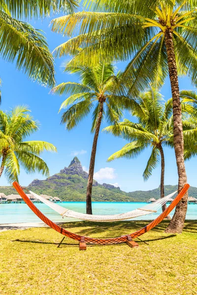 Lege hangmat tussen de palmbomen. Vakantie en vakantie concept — Stockfoto