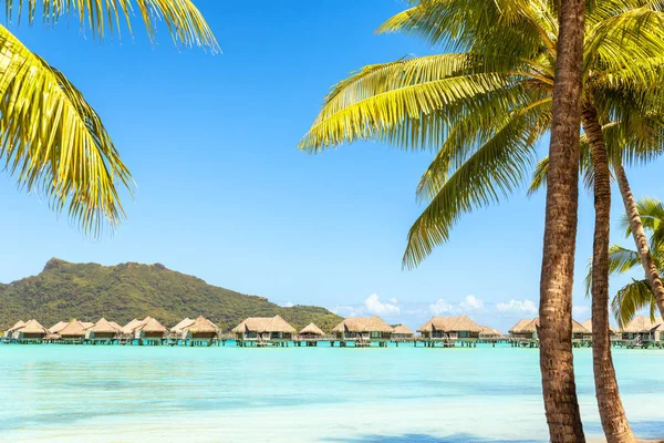 Uitzicht op de berg Otemanu met palmboom en prachtige lagune. — Stockfoto