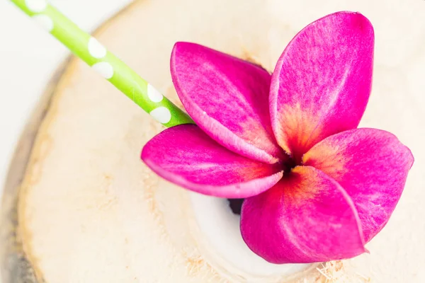 Bebida de coco con una flor de paja y frangipani púrpura, top vie —  Fotos de Stock