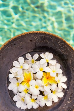 Grup beyaz ve sarı frangipani çiçek üzerinde kahverengi ahşap pla