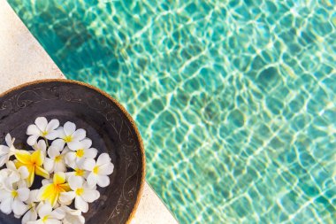 Grup beyaz ve sarı frangipani çiçek üzerinde kahverengi ahşap pla