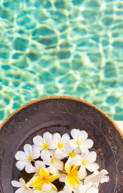 Grup beyaz ve sarı frangipani çiçek üzerinde kahverengi ahşap pla