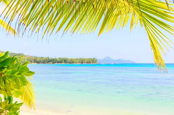 Typischer Strand auf der Insel Mahé, Seychellen — Stockfoto