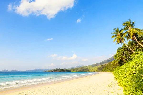 tipik beach adada mahe, Seyşel Adaları