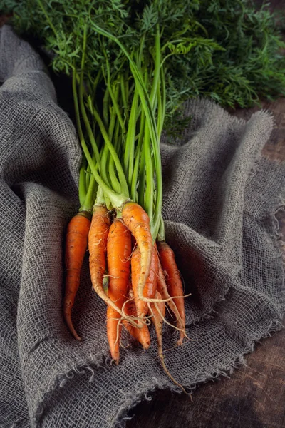 Zanahorias maduras orgánicas recién cosechadas con follaje verde. Autum — Foto de Stock