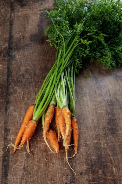 Zanahorias maduras orgánicas recién cosechadas con follaje verde en woo — Foto de Stock