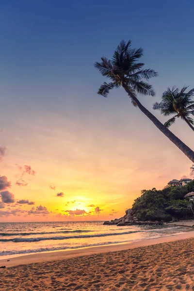 Puesta de sol bajo las palmeras de coco en la playa. Compo vertical — Foto de Stock