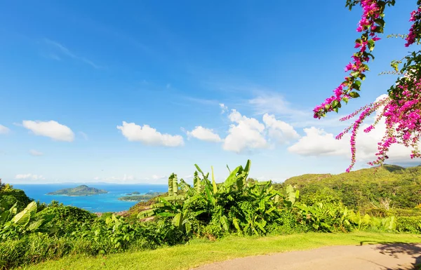 Küçük Yol Sahil Iyi Hill Mahe Island Seyşeller Üst Görünümü — Stok fotoğraf