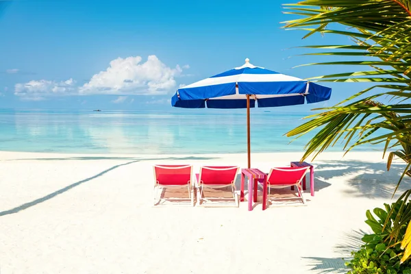 Sedie da spiaggia rosa e ombrellone blu in spiaggia di palma sabbiosa - Tropic — Foto Stock