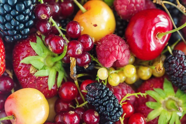 Background of mix berries strawberry, raspberry, blackberry, red — Stock Photo, Image