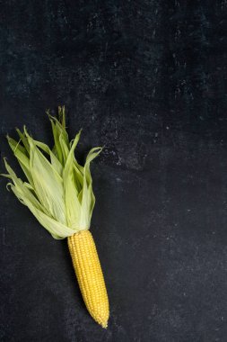 Tek taze olgun mısır, koyu arkaplanda cpy alanı, üst görünüm