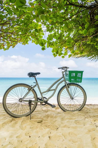 Osamělé vinobraní kolo se zeleným košem na tropické písečné pláži, s oblohou a klidným modrým mořem na pozadí, vertikální složení — Stock fotografie