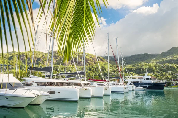 Luxe Boten en jachten op zonnige dag in de jachthaven van Eden Island, Mahe, Seychellen — Stockfoto