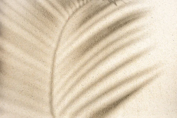 Вид Зверху Тінь Гілки Пальми Піщаному Фоні Пласка Лежала Літня — стокове фото