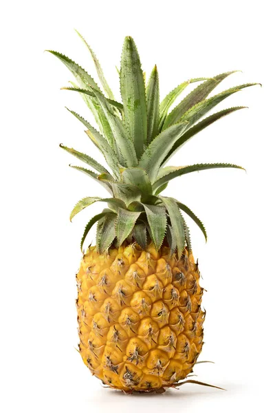 Fresh Pineapple Isolated White Background Vertical Composition — Stock Photo, Image