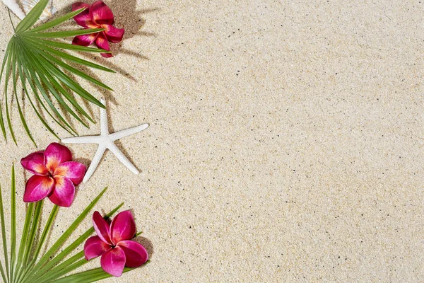 砂の背景にヒトデと赤フランジパニの花や緑のヤシの葉 トップビュー コピースペース — ストック写真