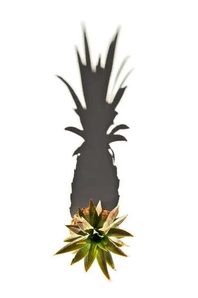 Top View Fresh Pineapple Strong Shadow White Background — Stock Photo, Image